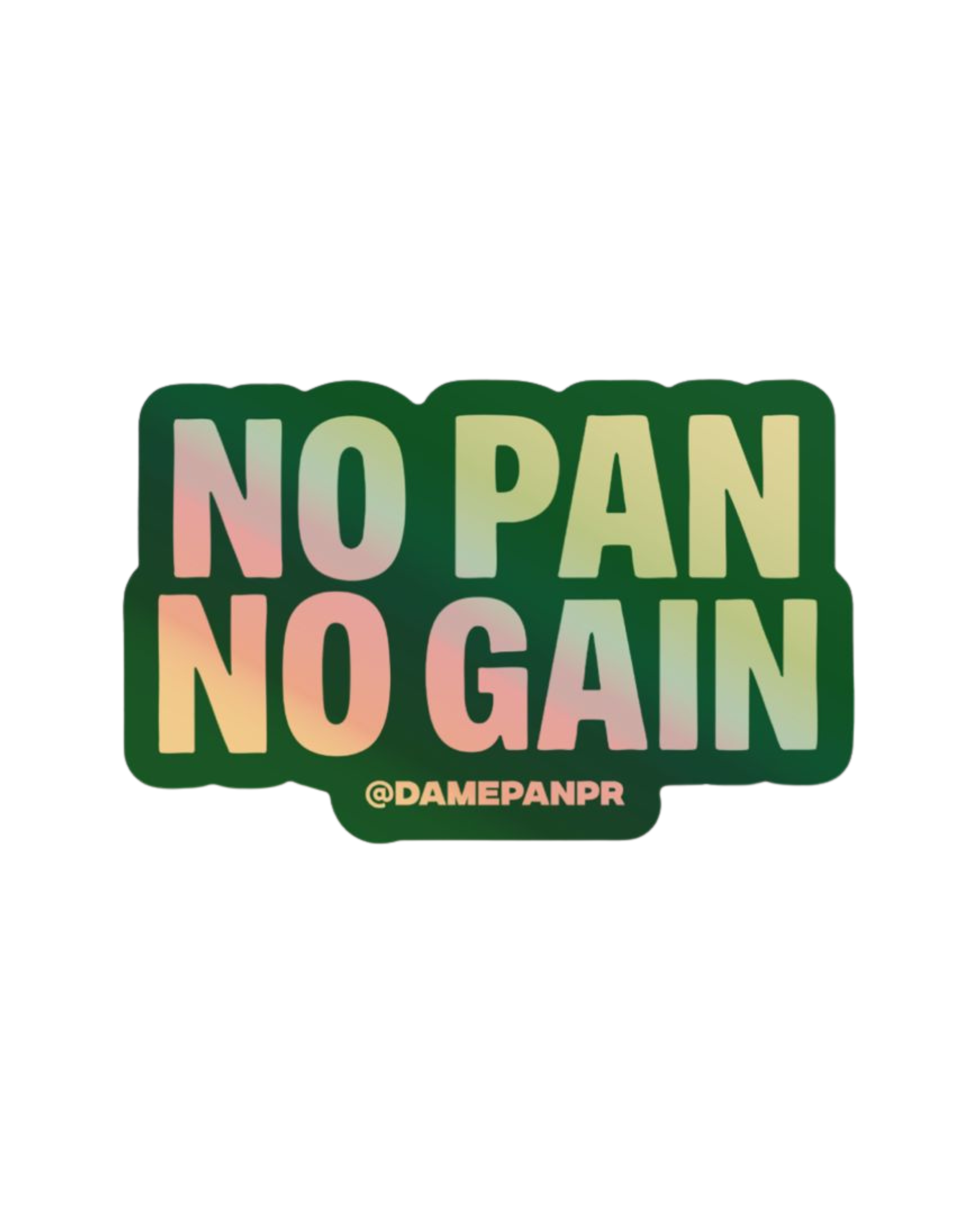 NO PAN NO GAIN - Premium Holographic Sticker