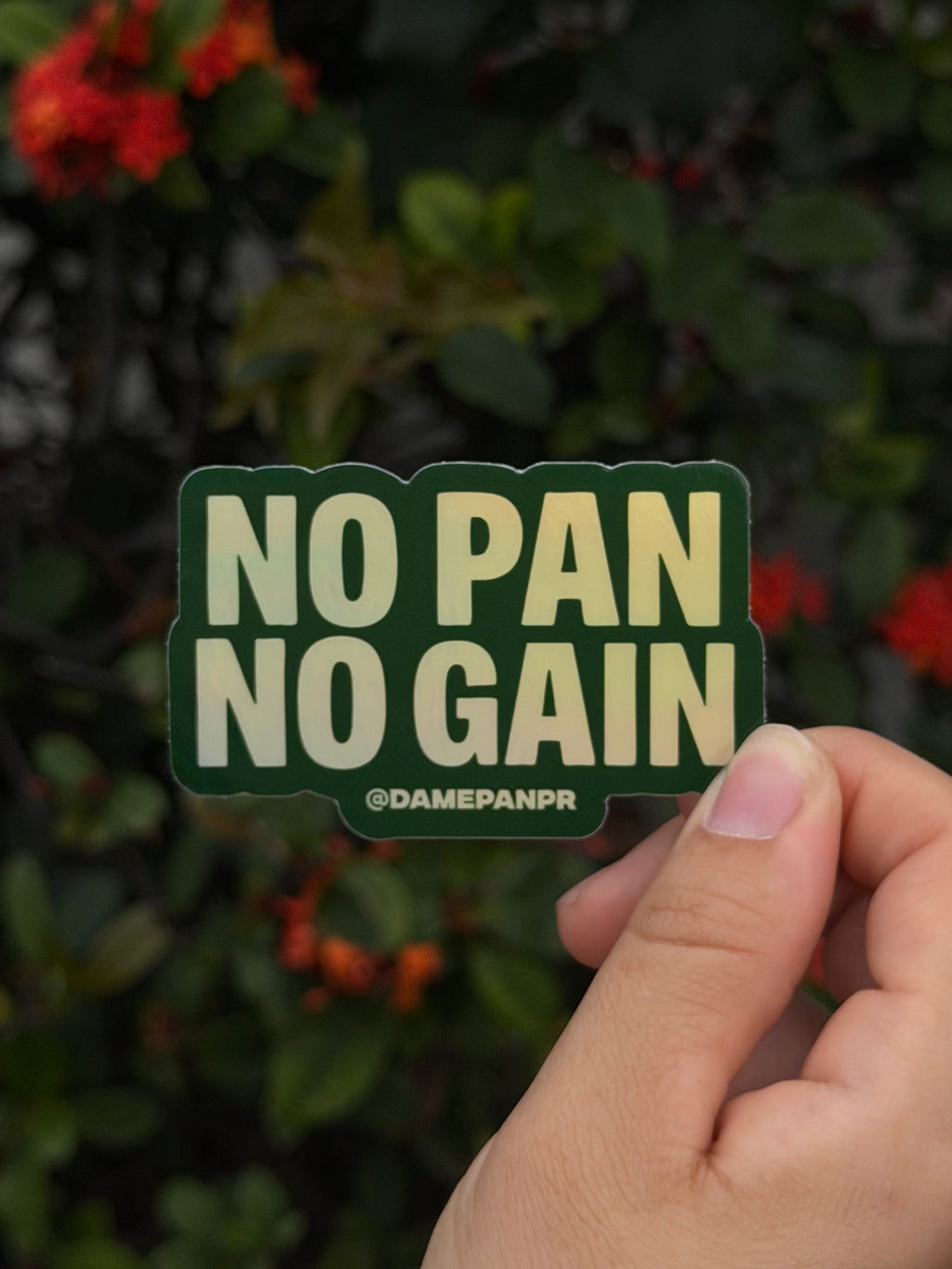 NO PAN NO GAIN - Premium Holographic Sticker